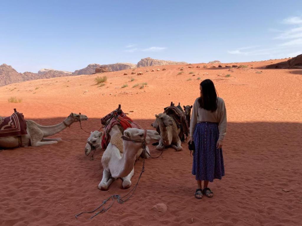 Mojo Camp, Wadi Rum Exterior foto